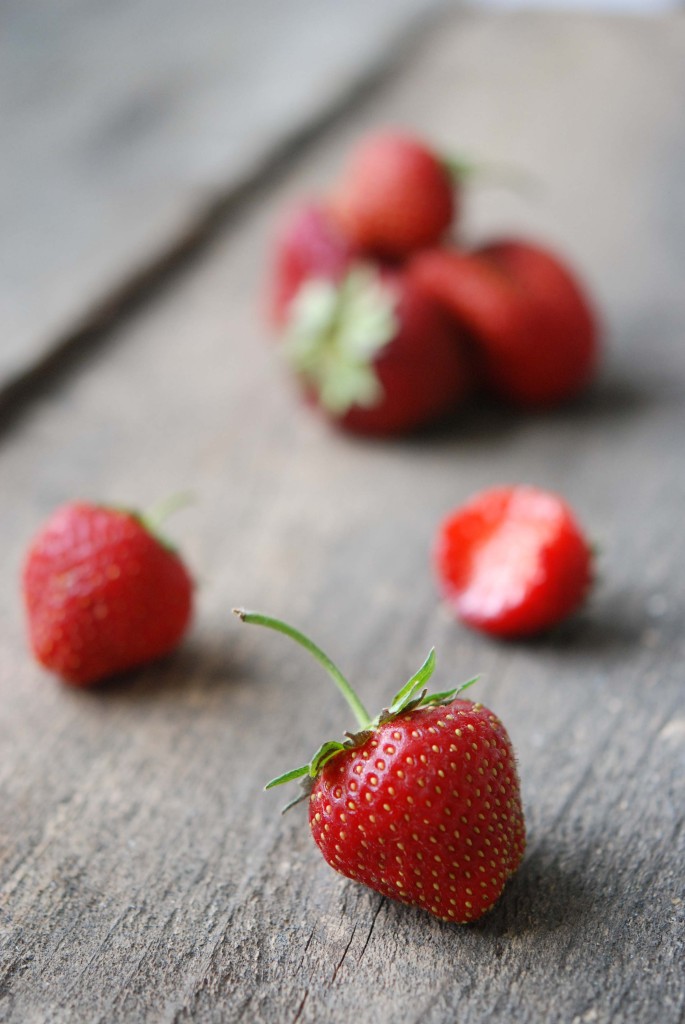 Strawberries | Fresh Tart