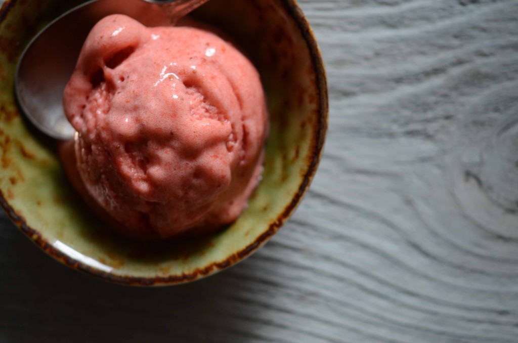 Roasted Strawberry/Rhubarb Sorbet | Fresh Tart (AIP, Paleo, Vegan)